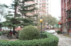 交大东路19号院3室1厅东西