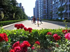 半岛蓝湾,一室一厅明厨明卫,精装拎包可住