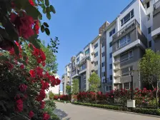 电梯一楼精装修,不带院子两室户型