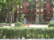 满五唯一南北通透,楼上楼下隔开私密性好采光视野好,