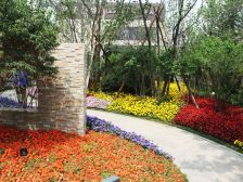 丽景长安好楼层好位置中间位置直达地库有车位