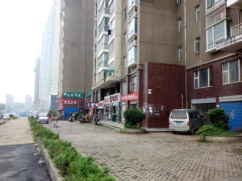 麓山枫情