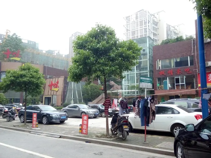 麓山枫情
