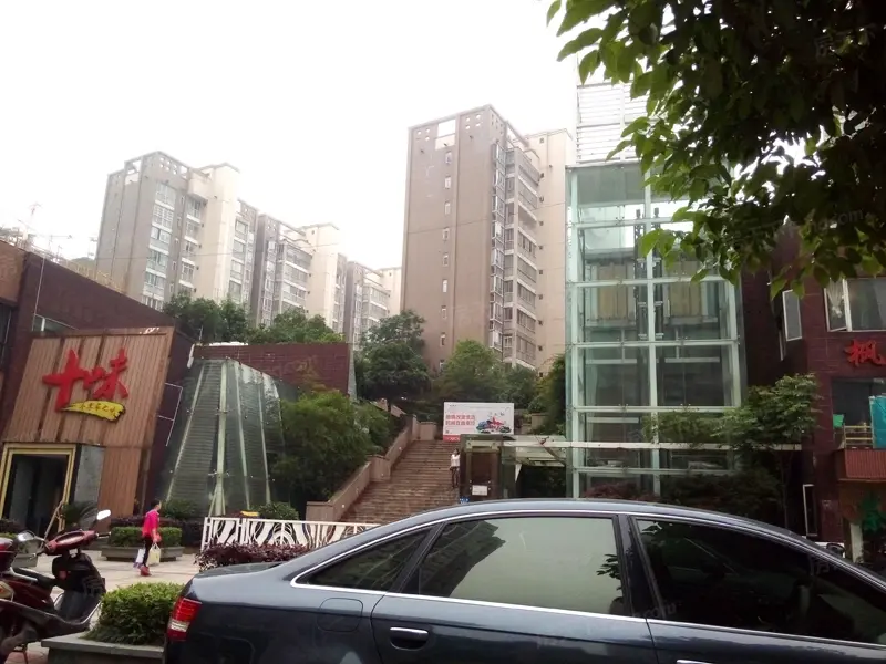 麓山枫情