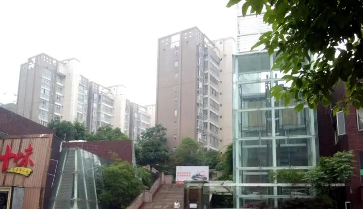 麓山枫情