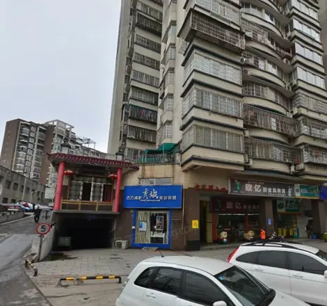 新楚麓山才苑
