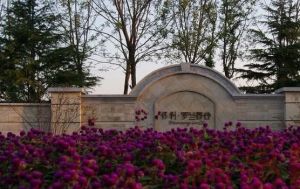 保利罗谷小区1室1厅南