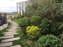 一线环湖交通便利环境优越