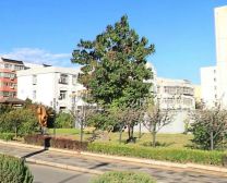 凤瑞二园 3室2厅 南 北