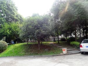 地铁口单位房小区公摊小准电梯房高楼层非顶楼