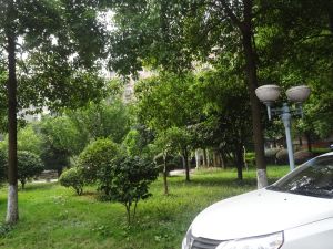 新华园3室1厅南