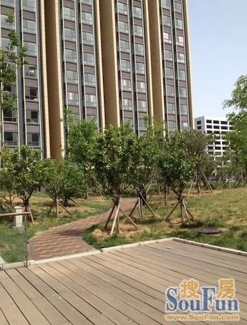 翼之城公寓2室1厅1卫东朝向3300.00元/月出租