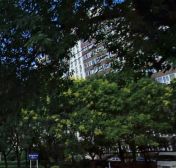 香河园北里2室1厅东南西