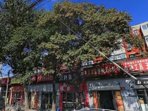 右外22号院3室0厅南北