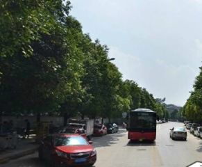 园亭山小区3室2厅南北
