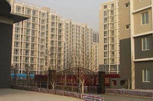 龙泽·新龙城·3室·2厅