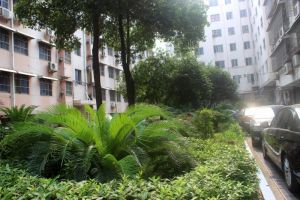 楼层好免物业费停车费,单位建房,得房率高交通便利