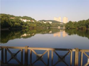 金鹰城圣爵菲斯3室2厅南北