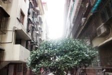 凤凰商贸城 3室2厅 南