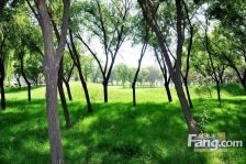 浅山香邑电梯两居室精装修南北通透可组合贷