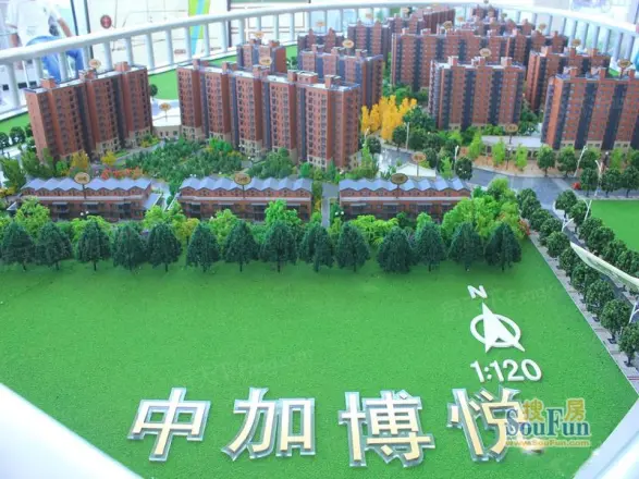 中加博悦