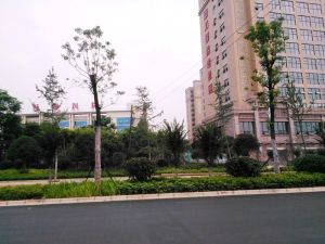 全新精装一室一厅一卫视野开阔小区环境舒适
