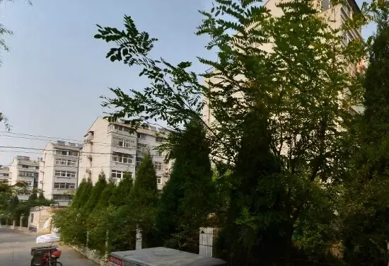 奎园新居