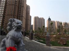 隆安东方明珠广场1室0厅南