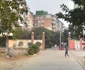 大院人家 3室1厅 东南