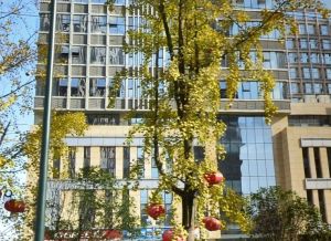 缤纷时代广场1室1厅东
