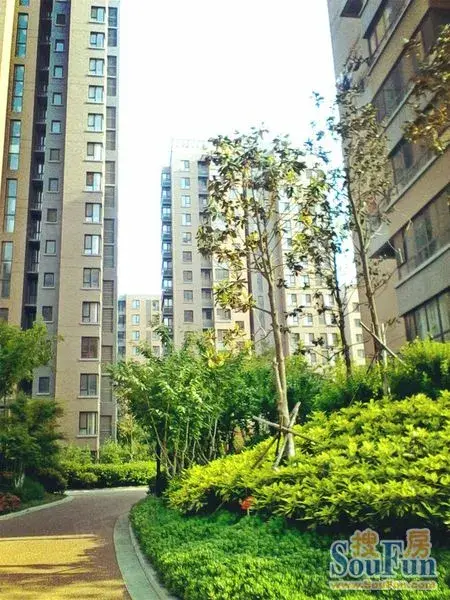 【日照御景东方小区,二手房,租房】- 日照房天下