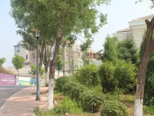 凤凰御景精装复试,想要高品质的可以看看