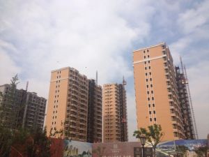 外滩九号3室2厅南北