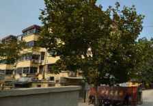 一楼,采光无遮挡,小区北桃花源公园,南边菜市场