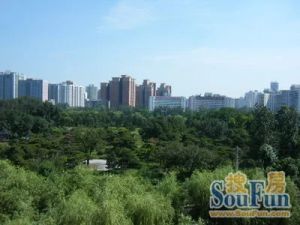 新坐标西南四居室,户型方正,好楼层,采光充足