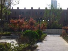 金海名园 精装三室婚房 高楼层 视野采光好