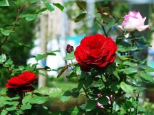 产证马上满二,采光好,小区南排,看房有钥匙