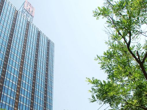 金海名园1室1厅1卫南朝向1350.00元/月出租
