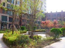 金海名园 2室1厅 南 北