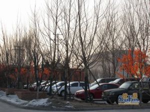 上下两层的跃层,精装修,可住两代人,交通方便环境好