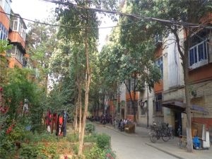 洛阳热电三街坊社区3室1厅南