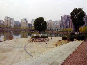 湖景上叠带百平车库带阁楼露台小区环境好