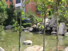 房子不是回迁房,户型南北通透,顶楼无小棚,总价低