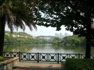 金鹰城圣爵菲斯3室2厅南