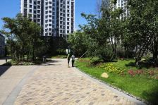 枫蓝国际,正规两室明厅,双地铁,楼层朝向良好