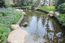 纳帕英郡 一室一厅 格局好 采光好 交通方便