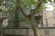 七岔路口苏堤北村1楼,两室一厅,永安街小+13初