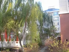 清水房可打两层 客厅大开间大阳台 南北通厅户型