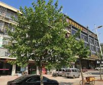 富仕名邸 6室2厅 南