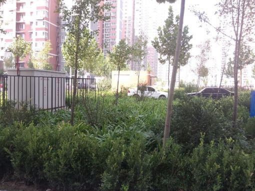 整租·秀兰城市美居东区2室2厅